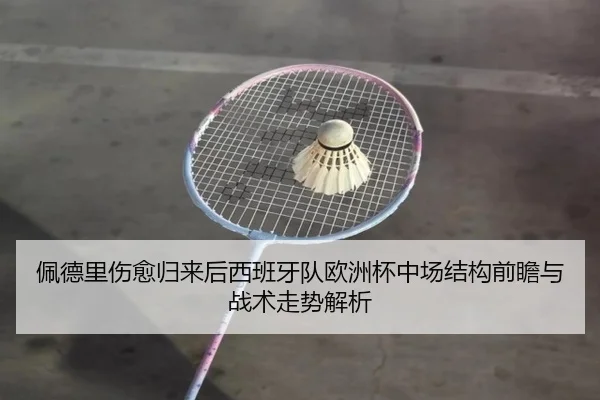 佩德里伤愈归来后西班牙队欧洲杯中场结构前瞻与战术走势解析